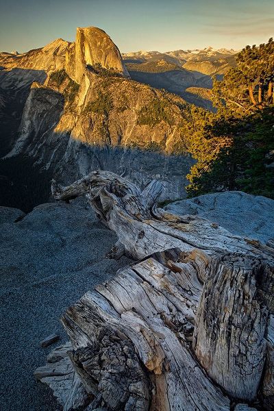 Jones, Adam 아티스트의 View of Half Dome from Glacier Point at sunset-Yosemite National Park-California작품입니다.